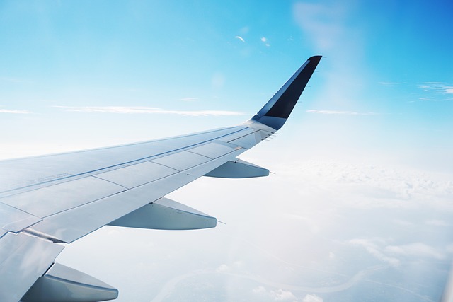 The Fear of Flying Mindset | Nathan Feiles, LCSW-R